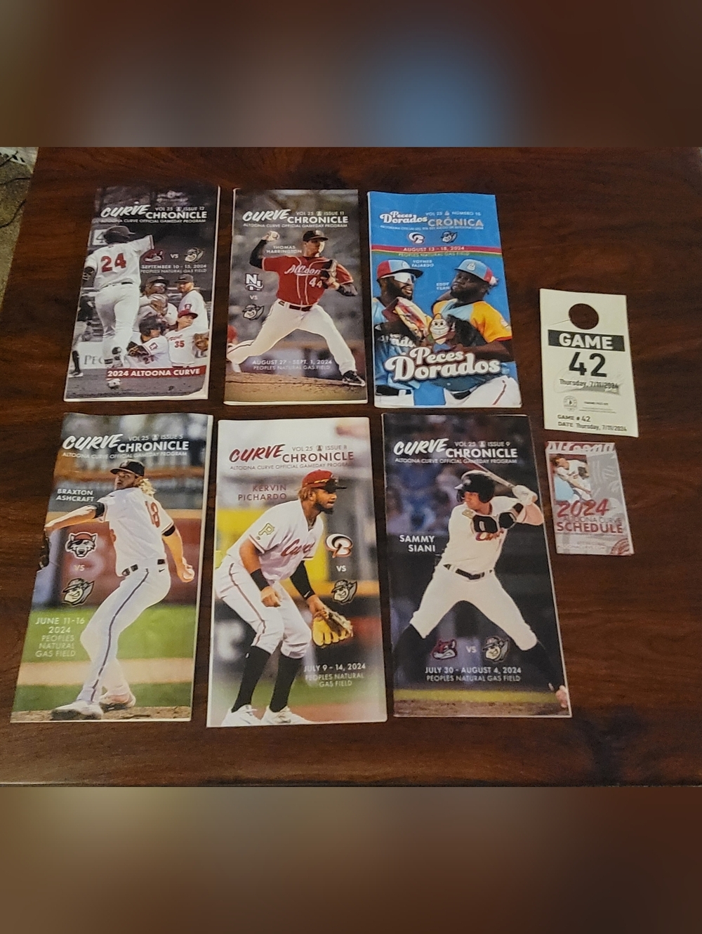 Lot of 2024 Altoona Curve MiLB Programs